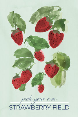 Image Not Available